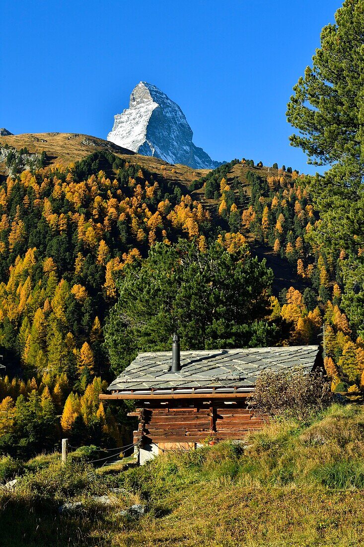 Switzerland, canton of Valais, Zermatt, hamlet Zmutt in front of the Matterhorn (4478m)