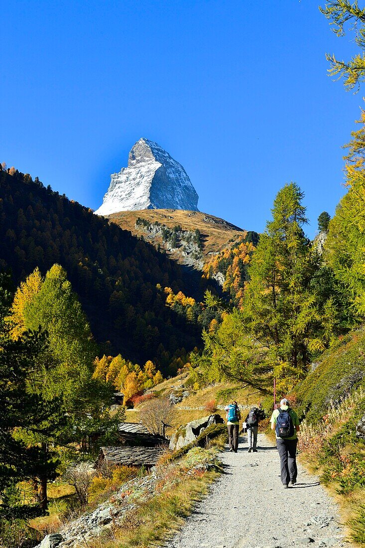 Schweiz, Kanton Wallis, Zermatt, Weiler Zmutt vor dem Matterhorn (4478m)