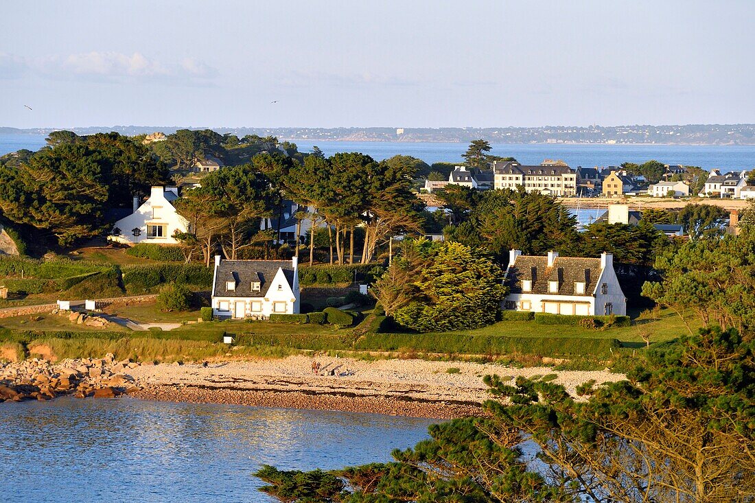 France, Finistere, Morlaix bay, Plougasnou, Pointe de Diben