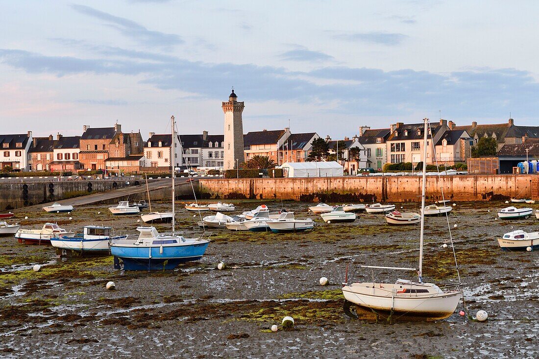 Frankreich, Finistere, Roscoff, Hafen bei Niedrigwasser