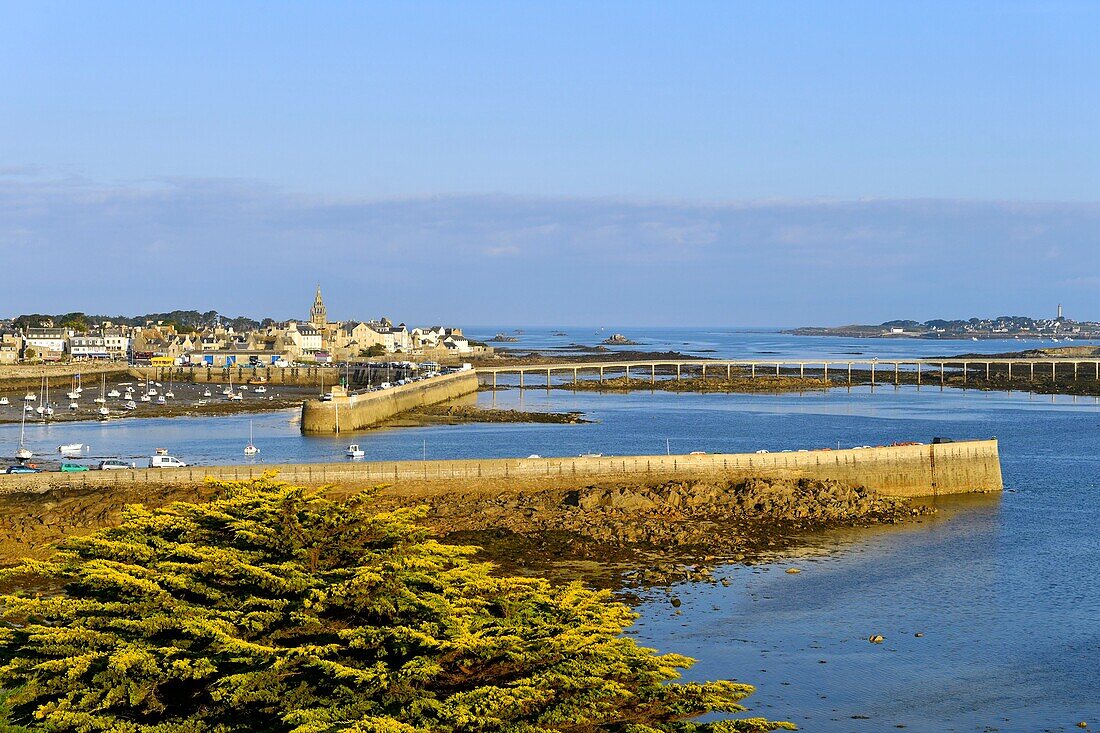 Frankreich, Finistere, Roscoff, Hafen mit dem Uhrenturm (1701) der Kirche Notre-Dame de Croaz Batz