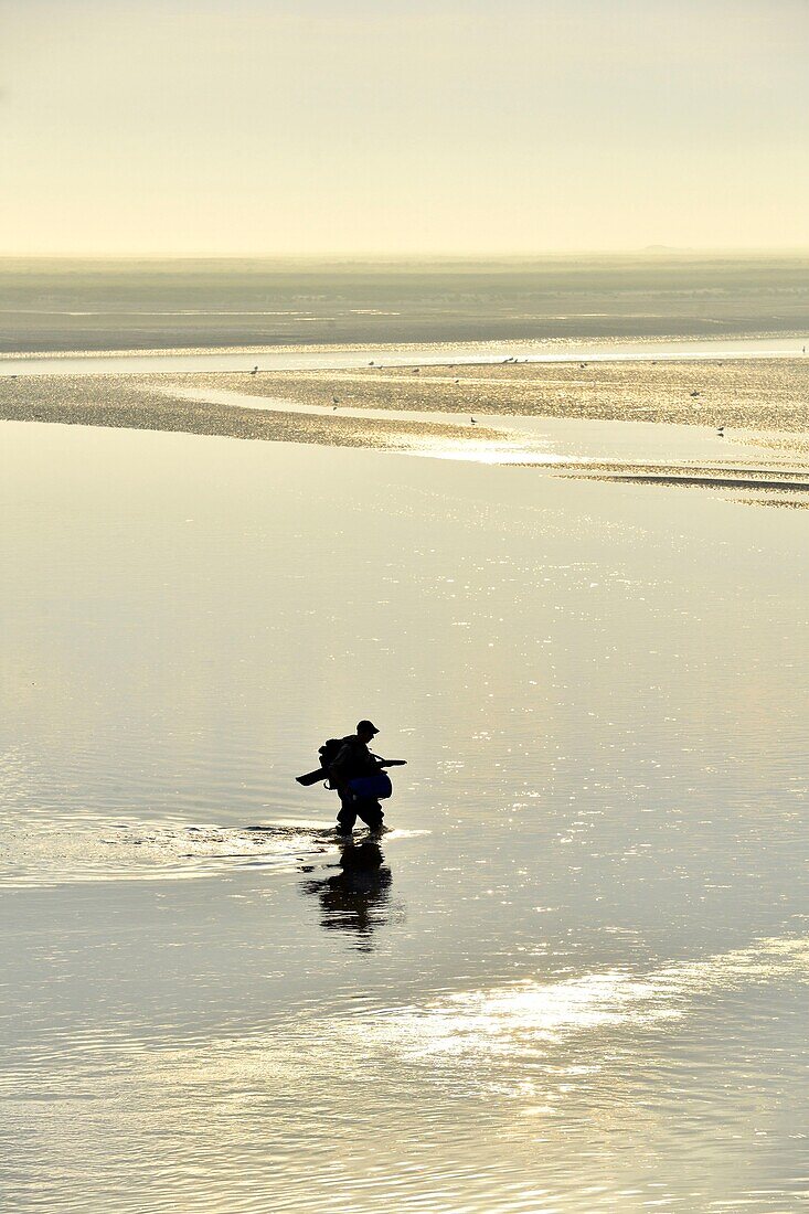 Frankreich, Somme, Baie de Somme, Saint Valery sur Somme, Mündung der Somme-Bucht bei Ebbe