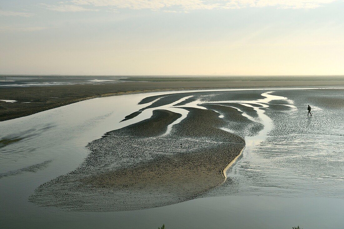 France, Somme, Baie de Somme, Saint Valery sur Somme, mouth of the Somme Bay at low tide