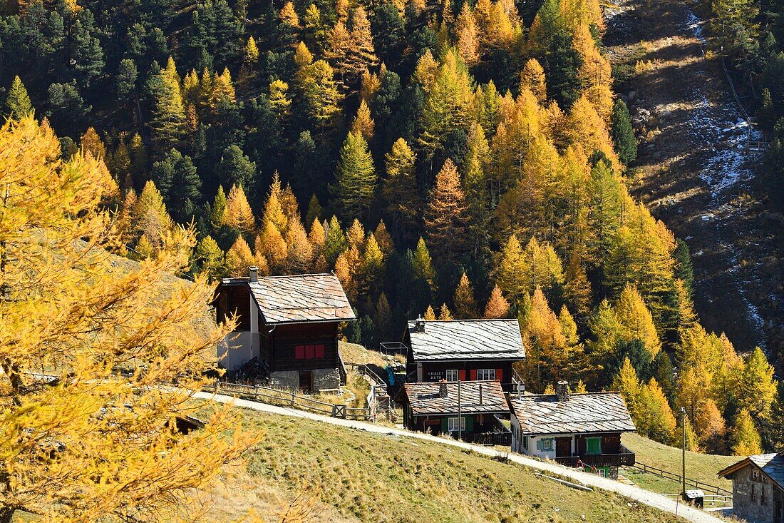 Switzerland, canton of Valais, Zermatt, hamlet Findeln at the foot of the Matterhorn