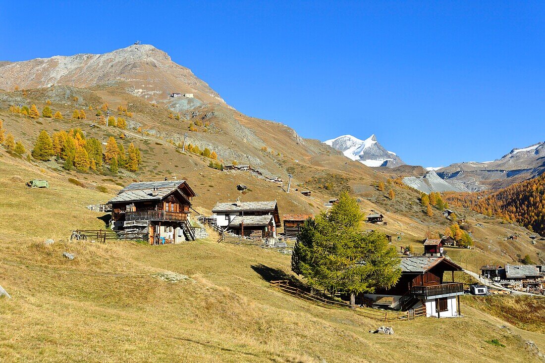 Switzerland, canton of Valais, Zermatt, hamlet Findeln at the foot of the Matterhorn, summit Strahlhorn and Adlerhorn