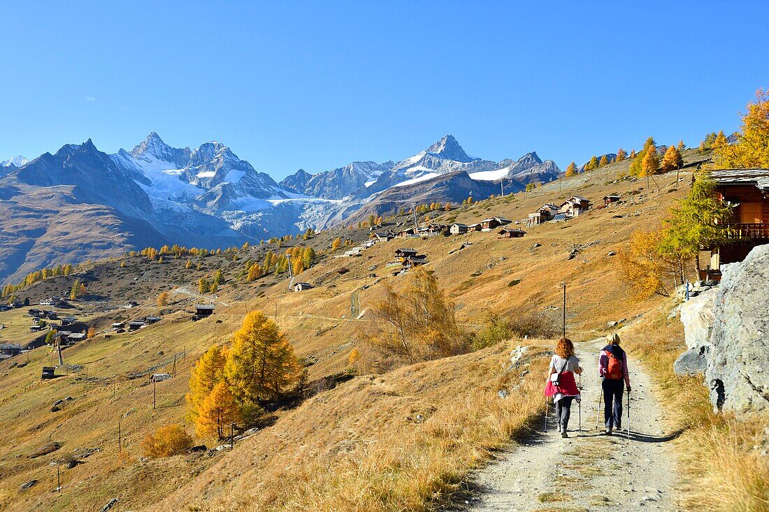 Switzerland, canton of Valais, Zermatt, hamlet Findeln at the foot of the Matterhorn, View over the village Findeln to the Zermatt mountains, Dent Blanche, Oberes Gabelhorn, Wellenkuppe, Triftgletscher, Trifthorn, Zinalrothgorn