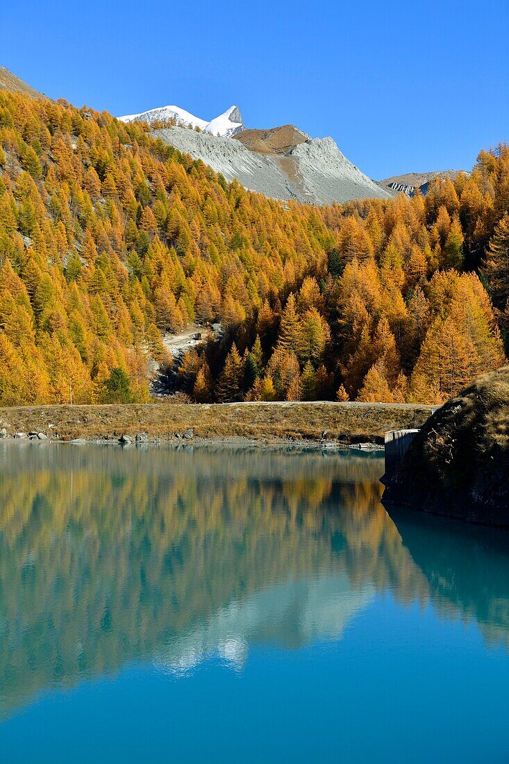 Schweiz, Kanton Wallis, Zermatt, Findelntal, Moosjisee und Walliser Alpen, Gipfel Strahlhorn und Adlerhorn