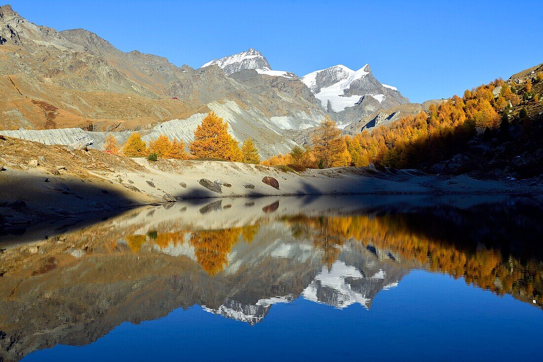 Switzerland, canton of Valais, Zermatt, Findelntal (Findeln valley), Grünsee (2300 m) with a view of Rimpfischhorn and Strahlhorn peaks