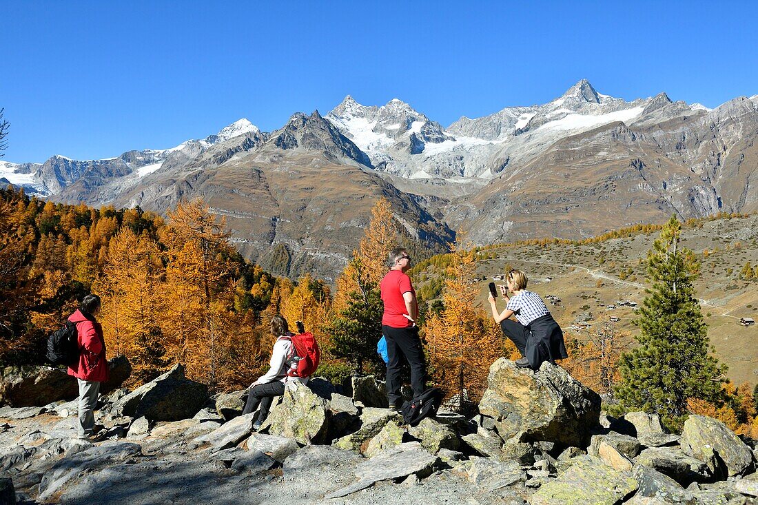 Switzerland, canton of Valais, Zermatt, Findelntal (Findeln valley), hamlet Findeln and Valais Alps, Dent Blanche, Obergabelhorn and Wellenkuppe peaks