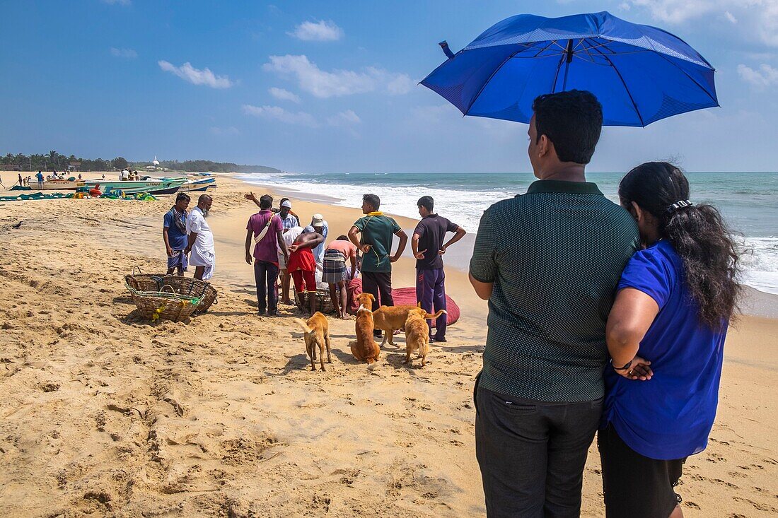 Sri Lanka, Ostprovinz, Pottuvil, Arugam Bucht, zurück vom Fischen am Pottuvil Strand