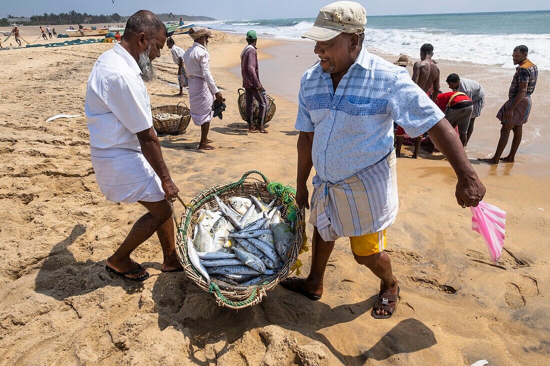 Sri Lanka, Eastern province, Pottuvil, Arugam bay, back from fishing on Pottuvil beach