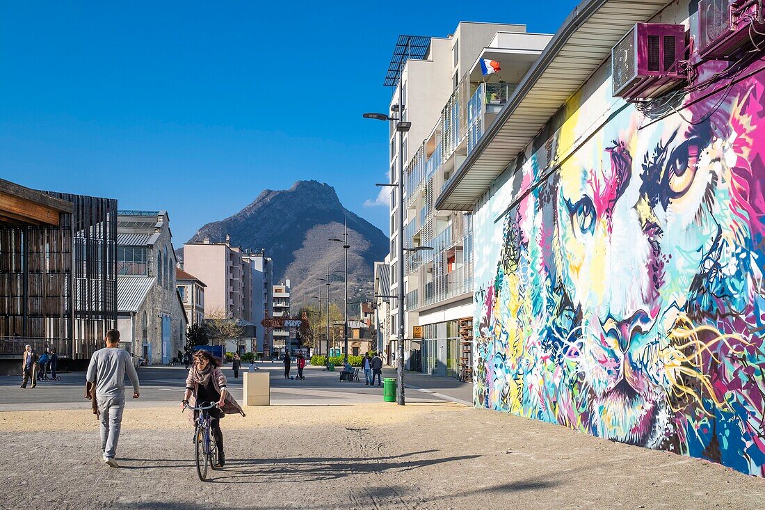 France, Isere, Grenoble, Bouchayer-Viallet district, Esplanade Andry Farcy, the Lion of the Grenoble artists, Srek, Greg and Will, fresco created during the Grenoble Street-Art Fest 2015