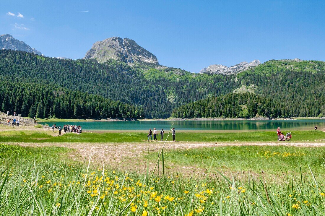 Montenegro, Durmitor-Region, Schwarzer See im Durmitor-Nationalpark