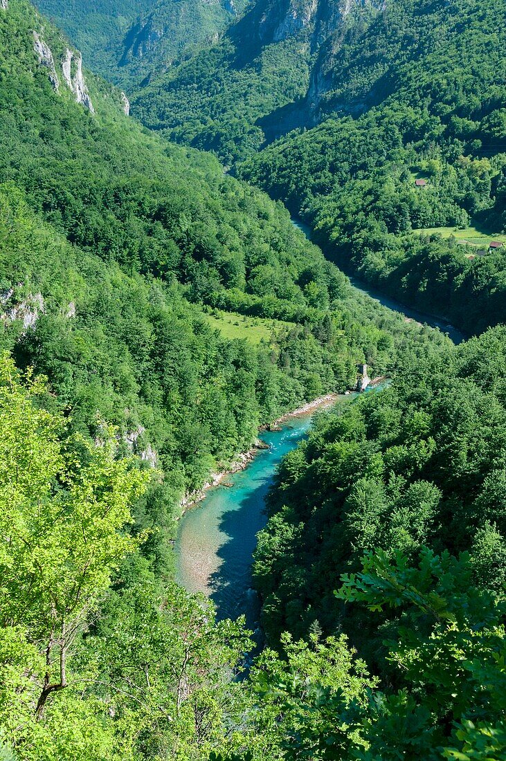 Montenegro, Region Durmitor, Tara-Schlucht von der Durdevika-Brücke aus