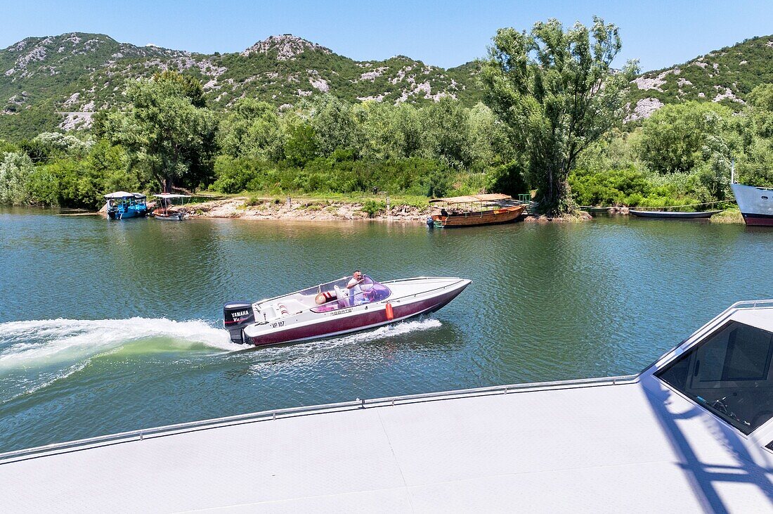 Montenegro, Region Skadar, Naturschutzgebiet und Skadar-See