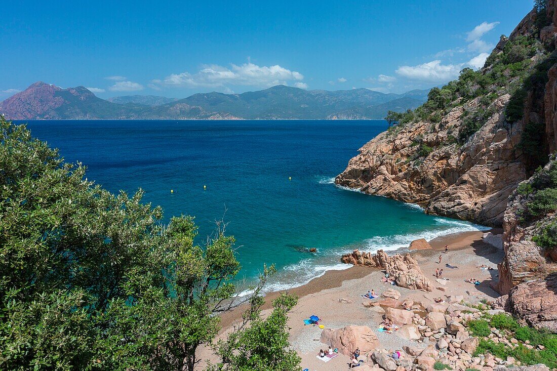 France, Corse du Sud, Gulf of Porto, Capo Rosso, Anse de Ficajola and the Scandola reserve in the background