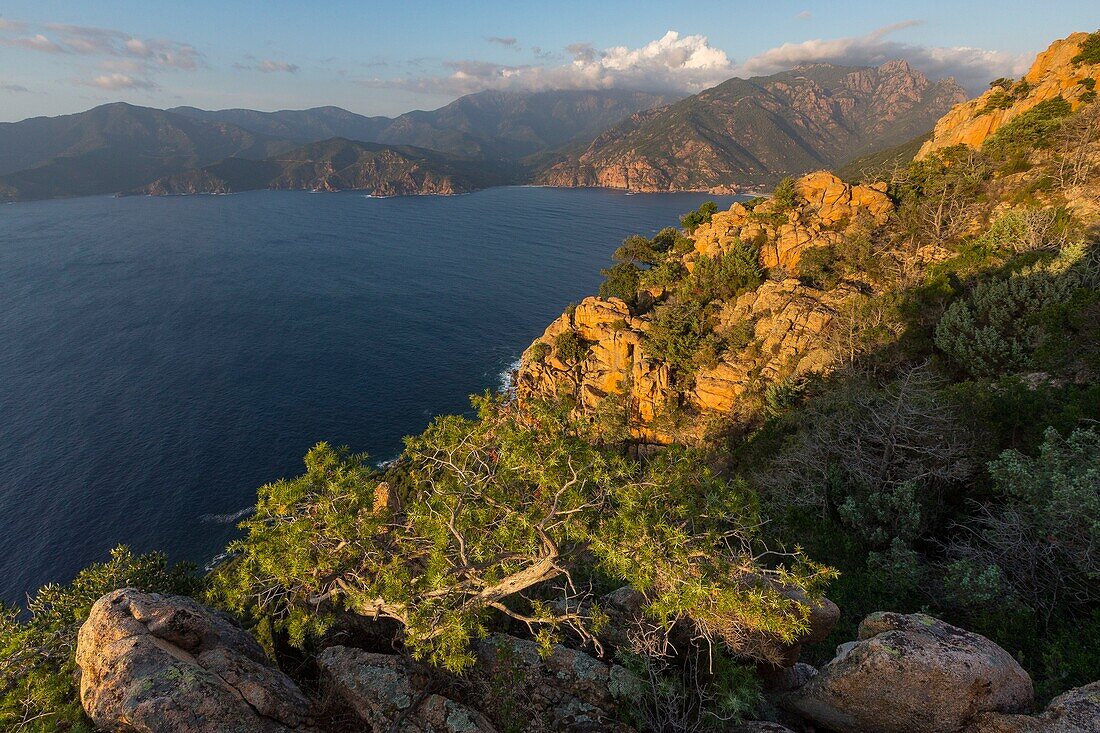 Frankreich, Corse du Sud, Golf von Porto, von der UNESCO zum Weltnaturerbe erklärt, Ufer von Piana mit Felsen aus rosa Granit, im Hintergrund Capo Senino und das Naturschutzgebiet der Halbinsel Scandola