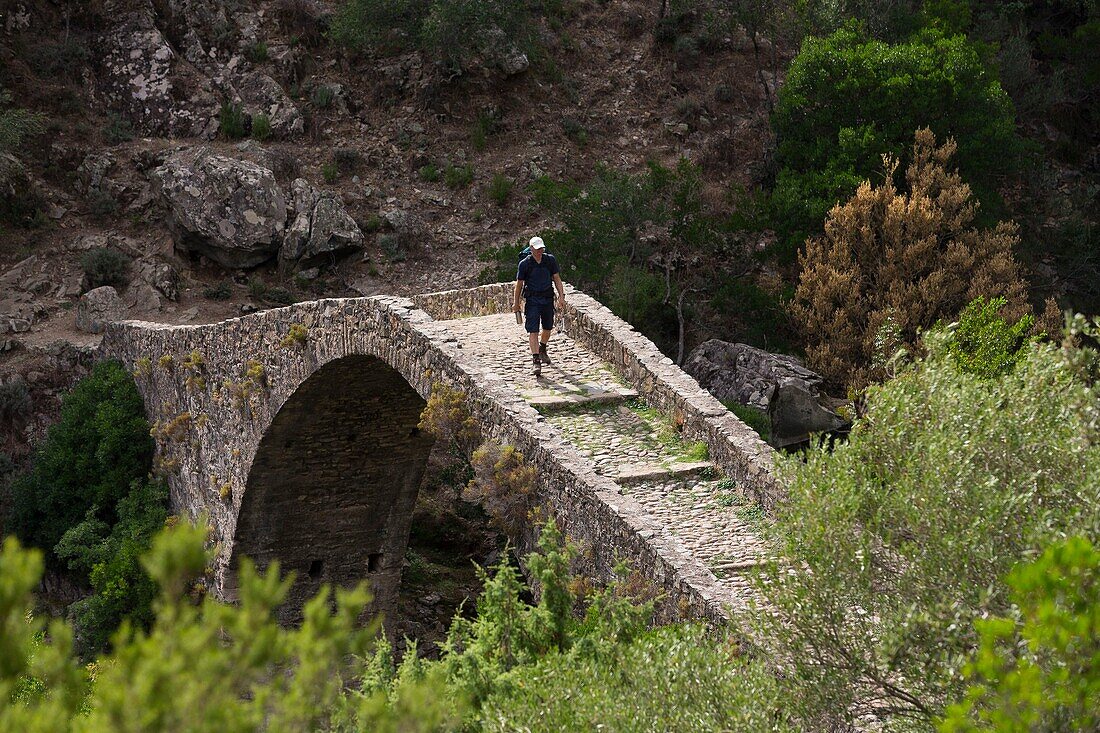 France, Corse du Sud, near the village of Ota, Genoese bridge of Pianella of the XVth century