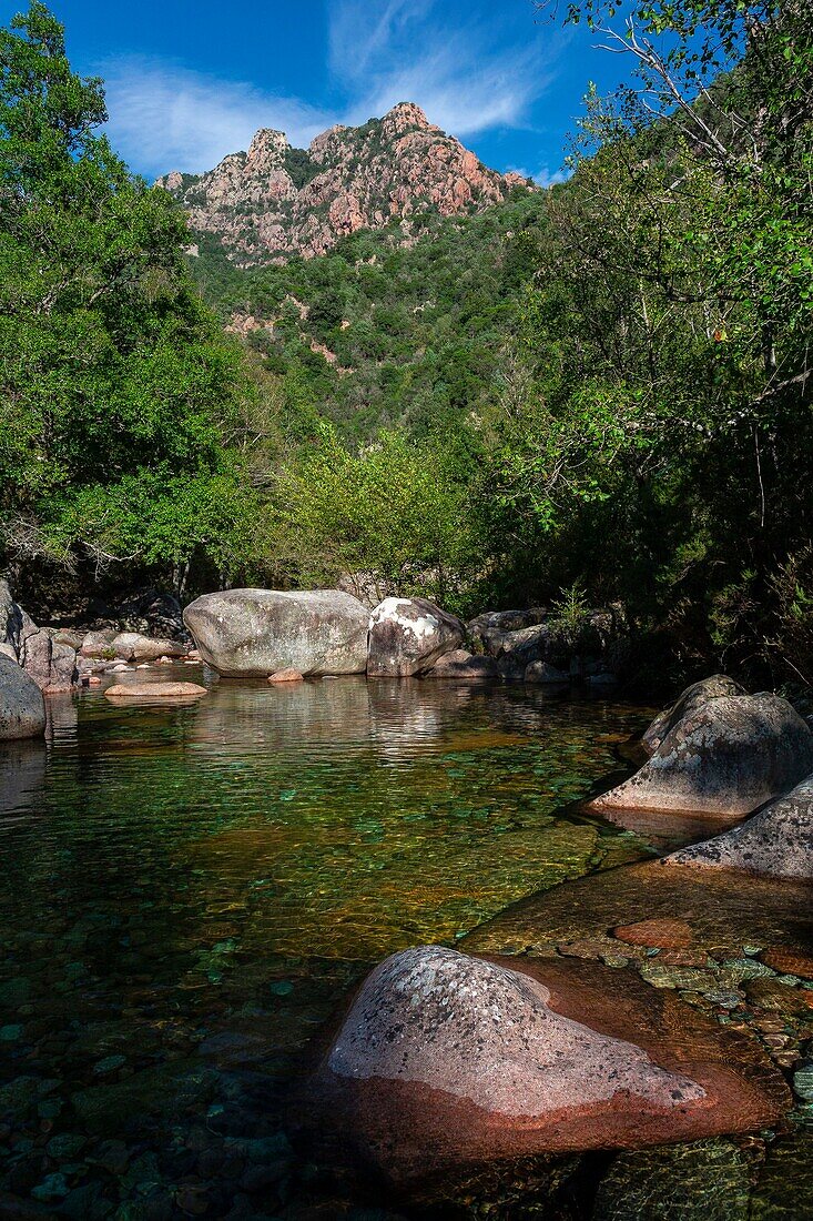 France, Corse du Sud, Spelunca Gorge near Porto