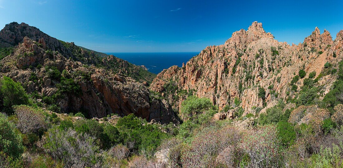 Frankreich, Corse du Sud, Golf von Porto, von der UNESCO zum Weltnaturerbe erklärt, Ufer von Piana mit Felsen aus rosa Granit, im Hintergrund Capo Senino und das Naturschutzgebiet der Halbinsel Scandola