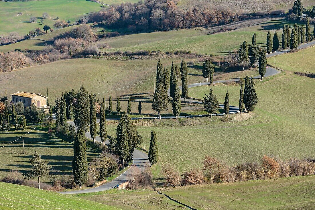 Italien, Toskana, Val d'Orcia, von der UNESCO zum Weltkulturerbe erklärt, Monticchiello, kurvenreiche Straße mit Zypressen