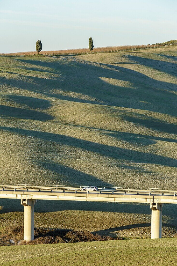 Italien, Toskana, Val d'Orcia, von der UNESCO zum Weltkulturerbe erklärt, Landschaft an der Via Francigena bei San Quirico d'Orcia, Cipressi di San Quirico d'Orcia