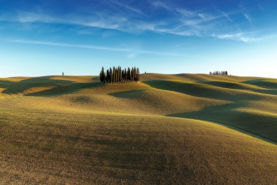 Italien, Toskana, Val d'Orcia von der UNESCO zum Weltkulturerbe erklärt, Landschaft entlang der Via Francigena bei San Quirico d'Orcia an der Stelle, die Cipressi di San Quirico d'Orcia genannt wird