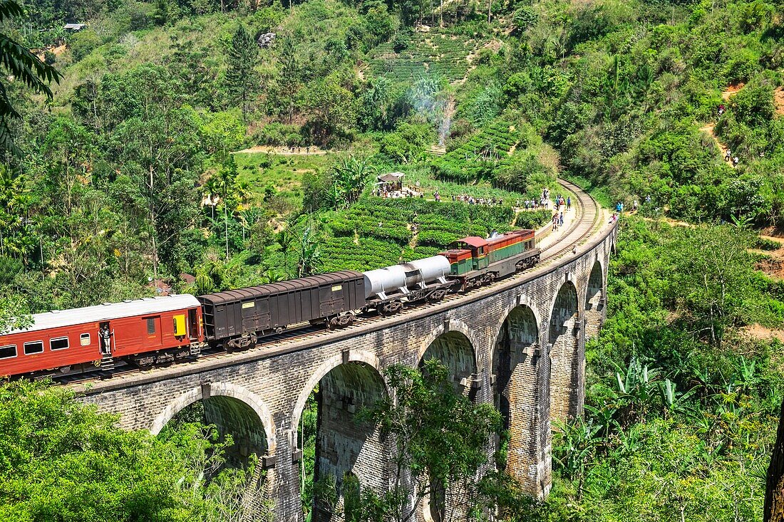 Sri Lanka, Uva province, Demodara (surroundings of Ella), the Nine Arches Bridge built in 1921 under the Bristish colonial-era