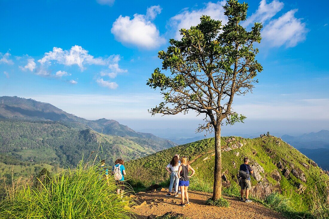 Sri Lanka, Uva-Provinz, Ella, Wanderung zum Little Adam's Peak (Höhe: 1141 m)