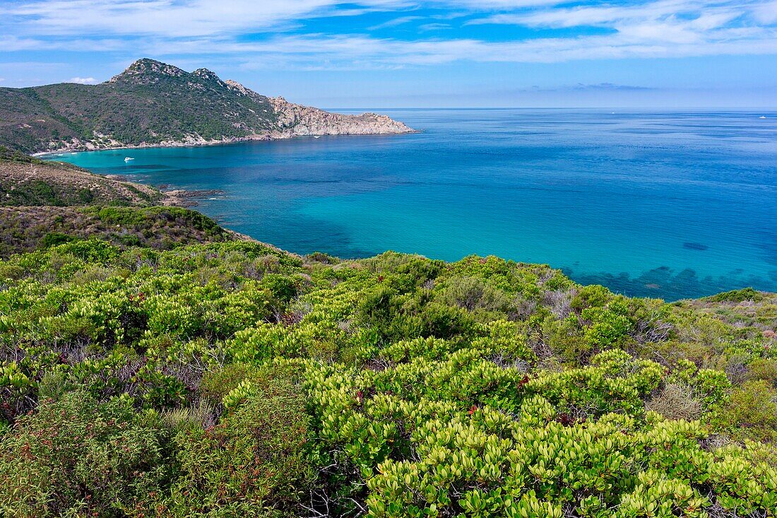 France, Haute Corse, Agriates desert