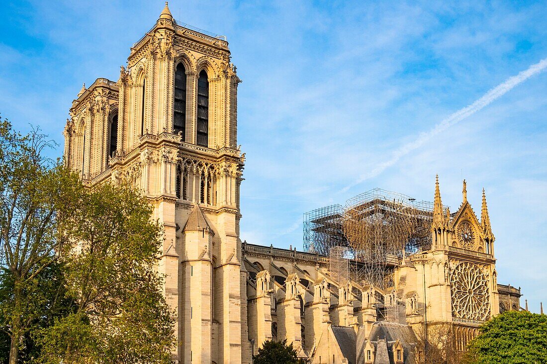 Frankreich, Paris, von der UNESCO zum Weltkulturerbe erklärtes Gebiet, Ile de la Cite, Kathedrale Notre Dame nach dem Brand vom 15. April 2019