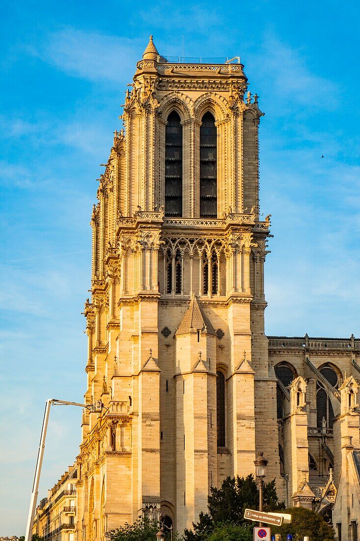 France, Paris, area listed as World Heritage by UNESCO, Ile de la Cite, Notre Dame Cathedral after the fire of April 15, 2019