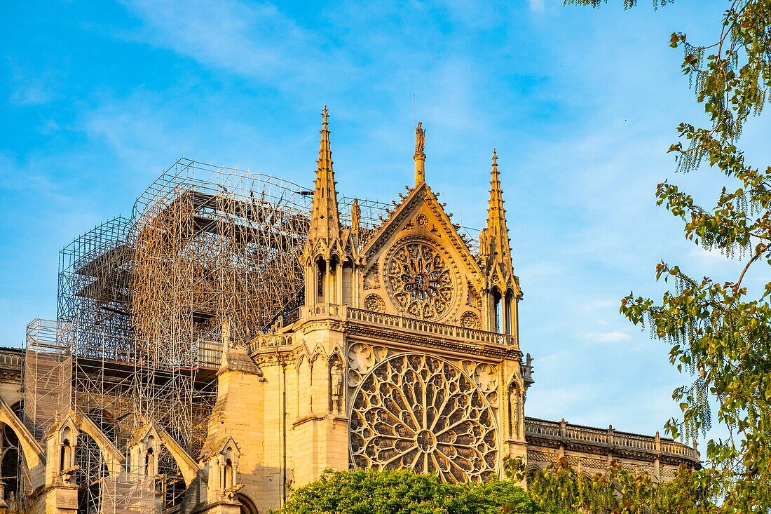 Frankreich, Paris, von der UNESCO zum Weltkulturerbe erklärtes Gebiet, Ile de la Cite, Kathedrale Notre Dame nach dem Brand vom 15. April 2019