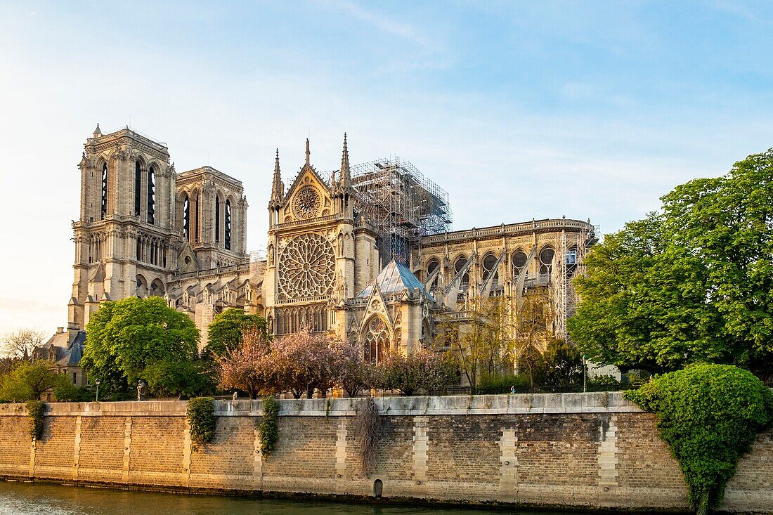 Frankreich, Paris, von der UNESCO zum Weltkulturerbe erklärtes Gebiet, Ile de la Cite, Kathedrale Notre Dame nach dem Brand vom 15. April 2019