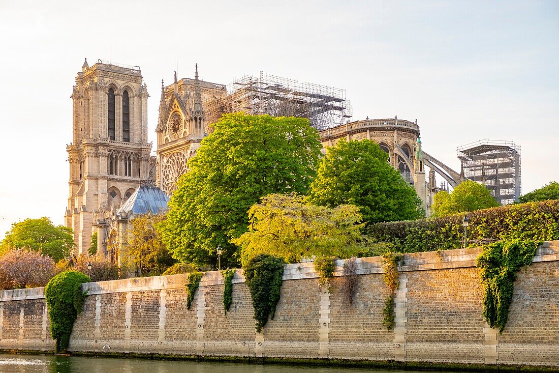 Frankreich, Paris, von der UNESCO zum Weltkulturerbe erklärtes Gebiet, Ile de la Cite, Kathedrale Notre Dame nach dem Brand vom 15. April 2019