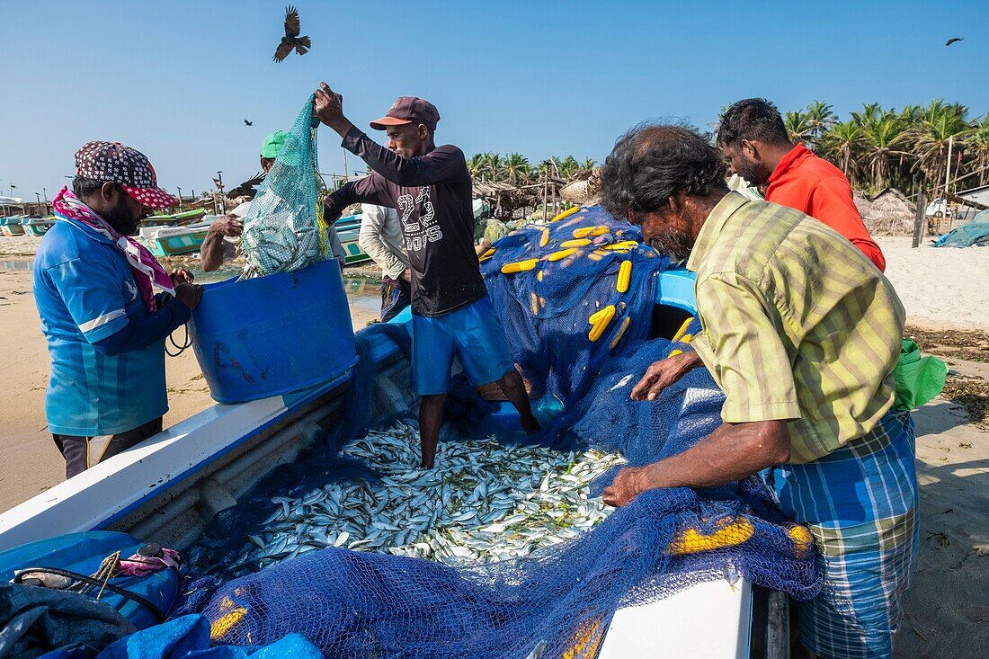 Sri Lanka, Northern province, Mannar island, Thalvupadu village, fishermen on Keeri plage