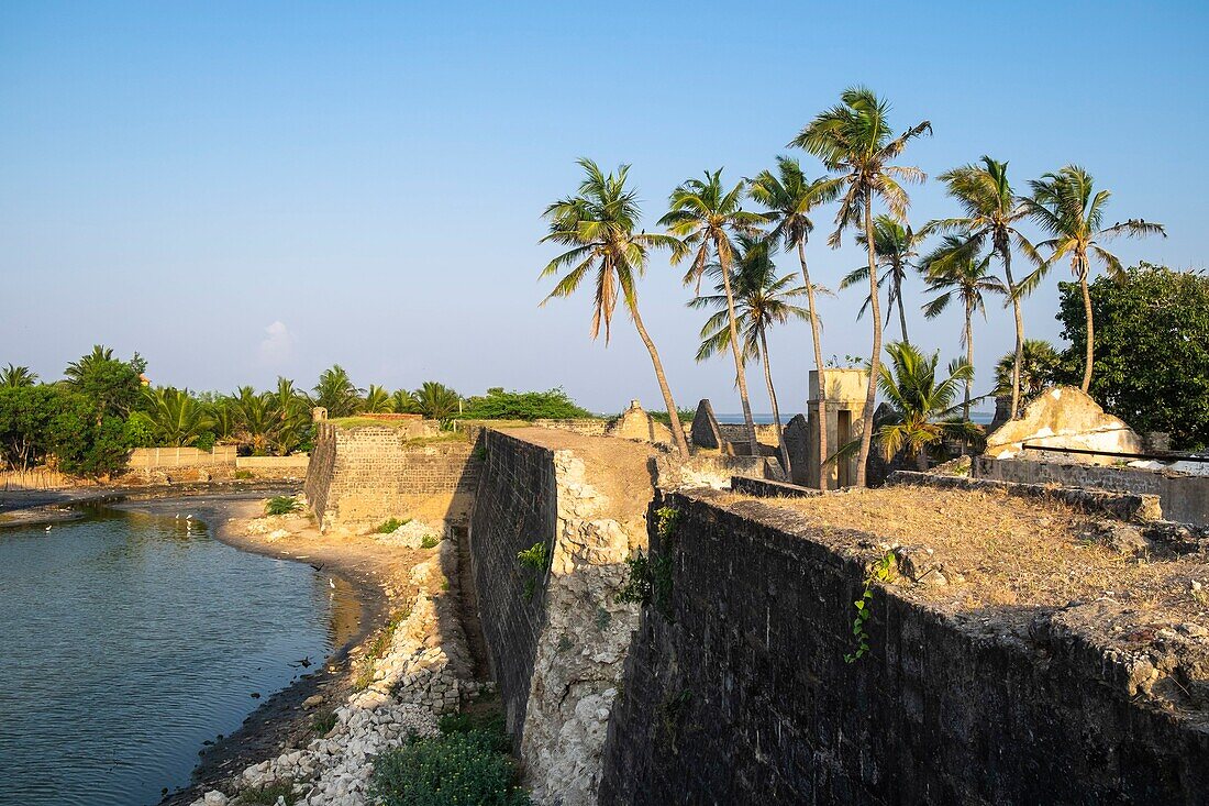 Sri Lanka, Nordprovinz, Insel Mannar, Stadt Mannar, Mannar Fort oder holländisches Fort, erbaut von den Portugiesen, besetzt von den Holländern und den Bristish