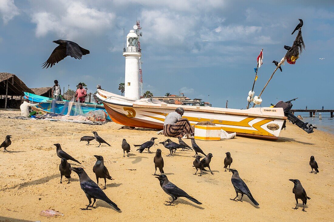 Sri Lanka, Nordprovinz, Insel Mannar, das Dorf Thalaimannar, der Strand und der Leuchtturm