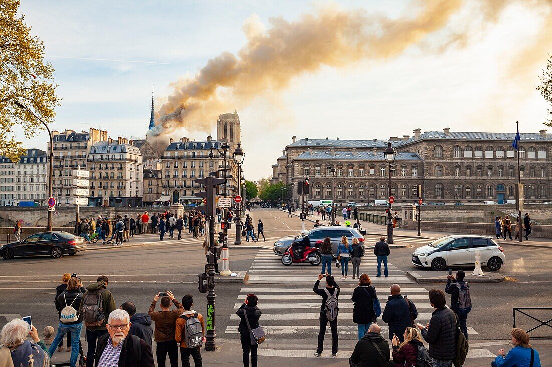 France, Paris, area listed as World Heritage by UNESCO, Notre Dame de Paris Cathedral, fire which ravaged the cathedral on April 15, 2019