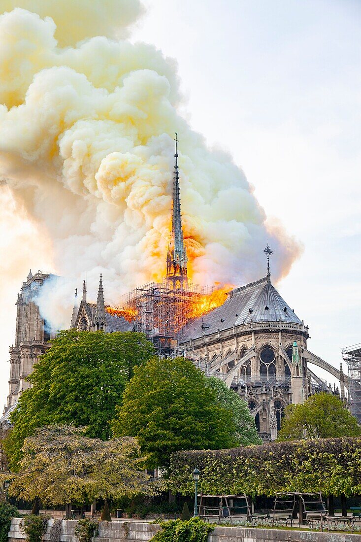 Frankreich, Paris, UNESCO-Welterbegebiet, Ile de la Cite, Kathedrale Notre Dame de Paris, Brand, der die Kathedrale am 15. April 2019 verwüstet hat