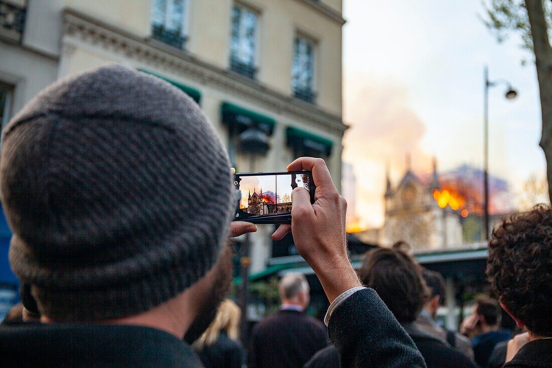 Frankreich, Paris, Gebiet, das zum UNESCO-Welterbe gehört, Kathedrale Notre-Dame de Paris, Feuer, das die Kathedrale am 15. April 2019 verwüstet hat