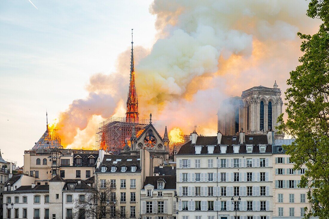 Frankreich, Paris, UNESCO-Welterbegebiet, Ile de la Cite, Kathedrale Notre Dame de Paris, Brand, der die Kathedrale am 15. April 2019 verwüstet hat