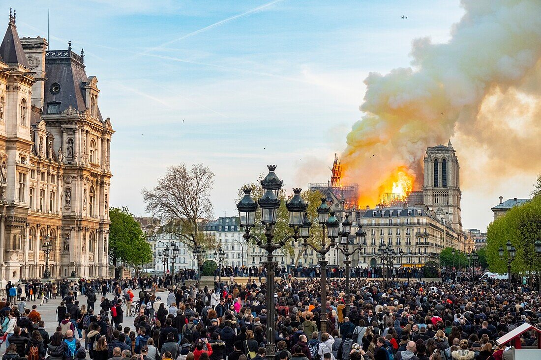 Frankreich, Paris, UNESCO-Welterbe, Ile de la Cite, Kathedrale Notre-Dame, das große Feuer, das die Kathedrale am 15. April 2019 zerstörte