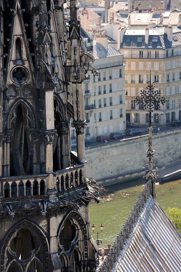 France, Paris, area listed as World Heritage by UNESCO, Ile de la Cite, Notre Dame Cathedral, the arrow