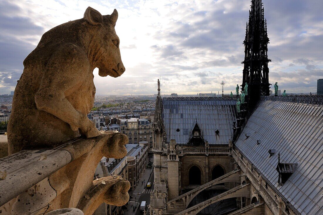 Frankreich, Paris, UNESCO-Welterbe, Île de la Cite, Kathedrale Notre-Dame, die Schimären beobachten die Stadt, der stehende Stier