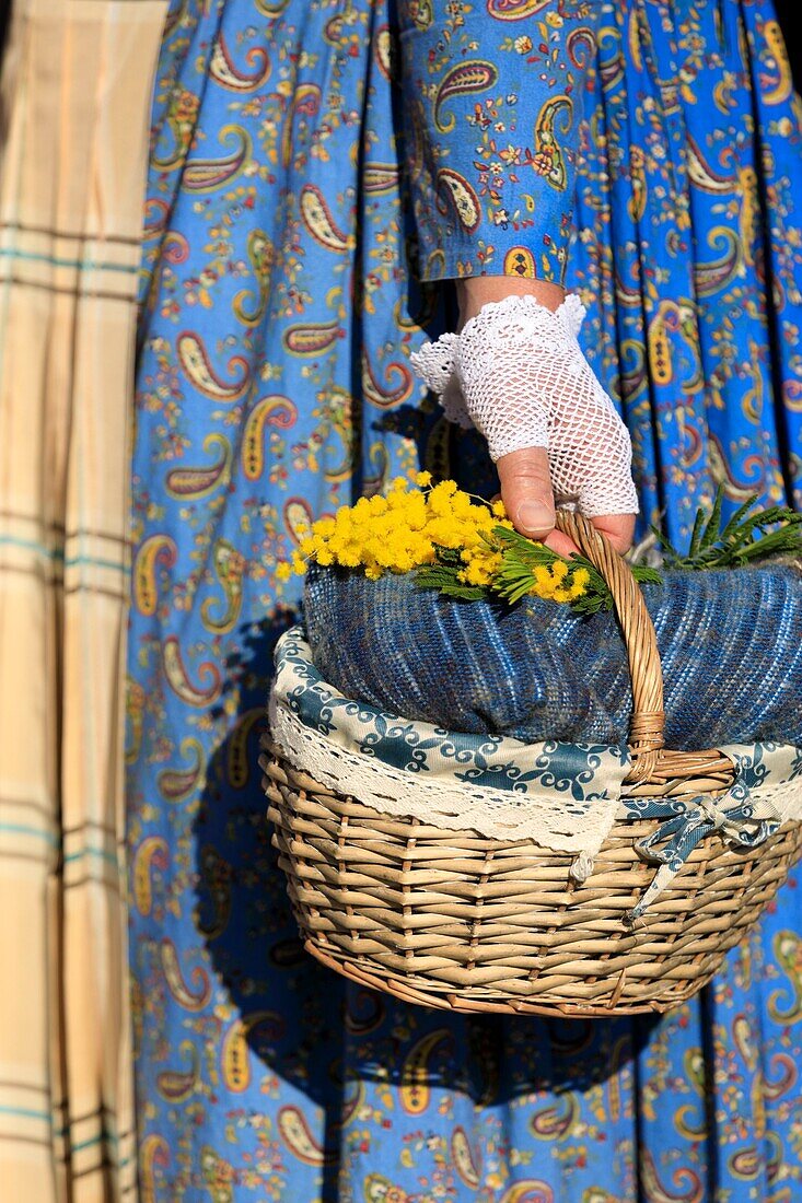 France, Alpes Maritimes, Mandelieu la Napoule, Feast of Mimosa