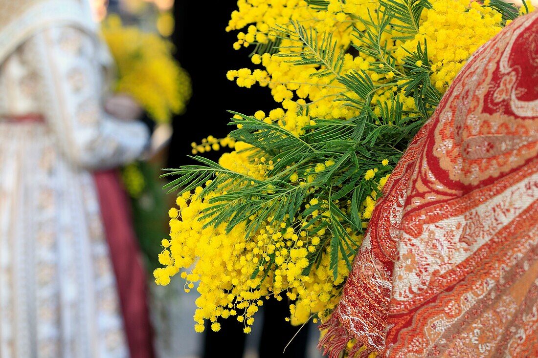 France, Alpes Maritimes, Mandelieu la Napoule, Feast of Mimosa