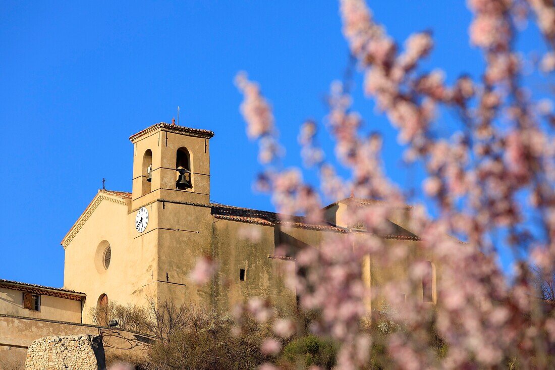 France, Alpes de Haute Provence, Verdon Regional Nature Park, Valensole plateau, Saint Jurs, church