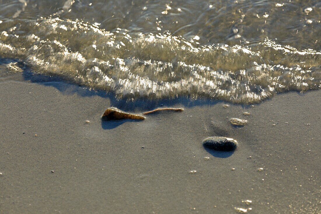 France, Var, Bormes les Mimosas, Bregancon Beach, Cabasson Bay