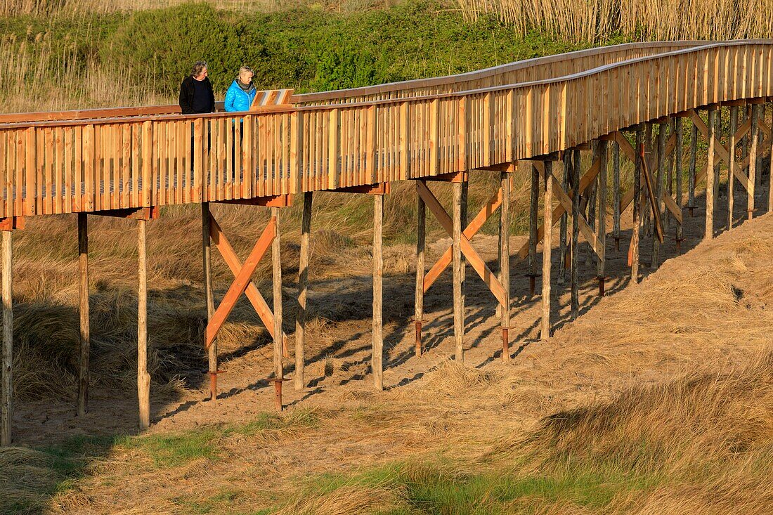 France, Var, Frejus, district of Saint Aygulf, Conservatoire du Littoral, protected natural area, wetland of Etangs de Villepey, road on stilts